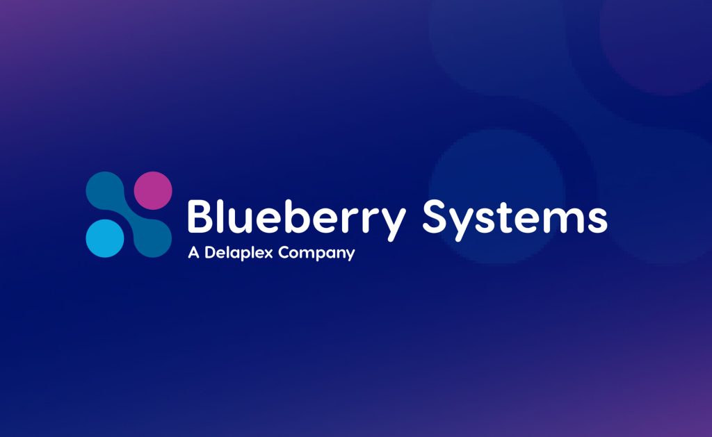Blueberry Systems -Introductory Blog 2